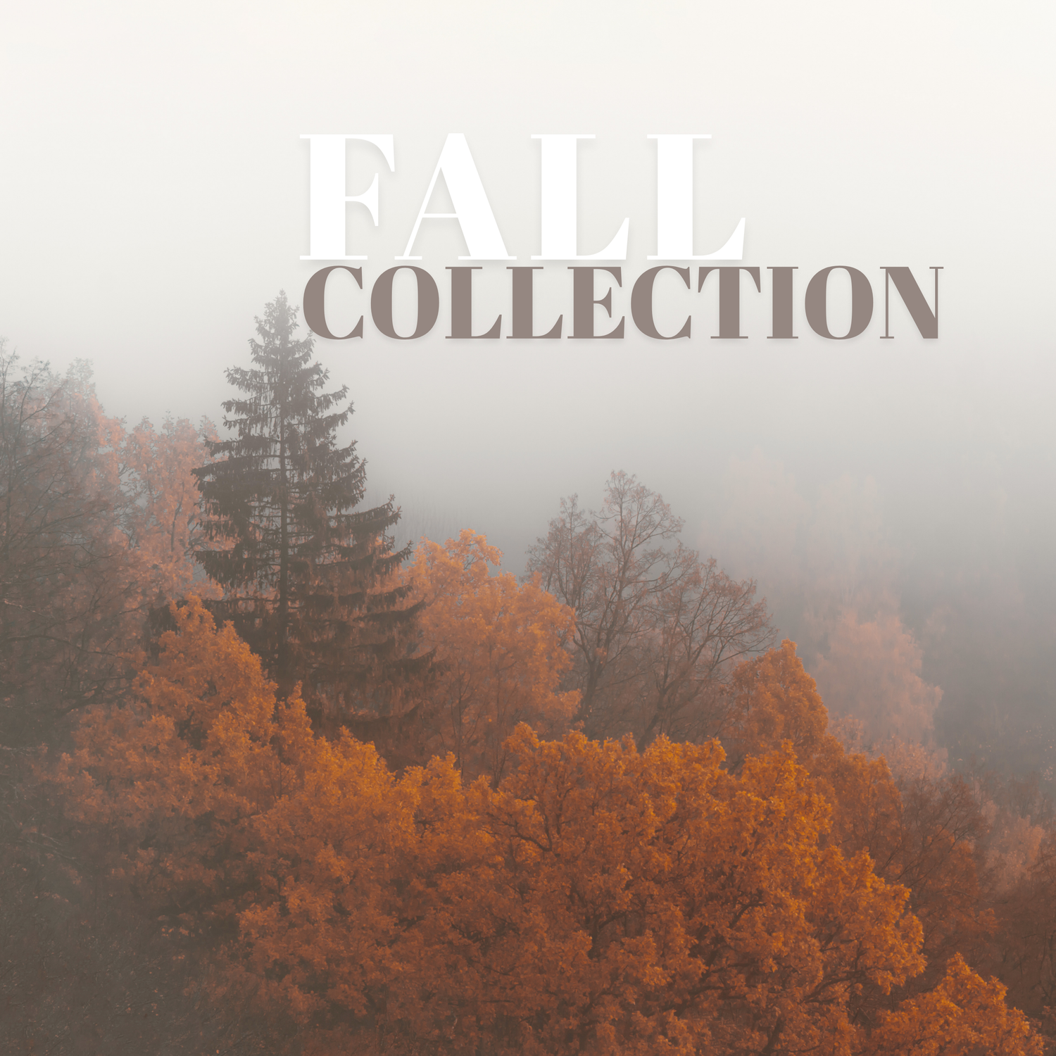 Fall Collection